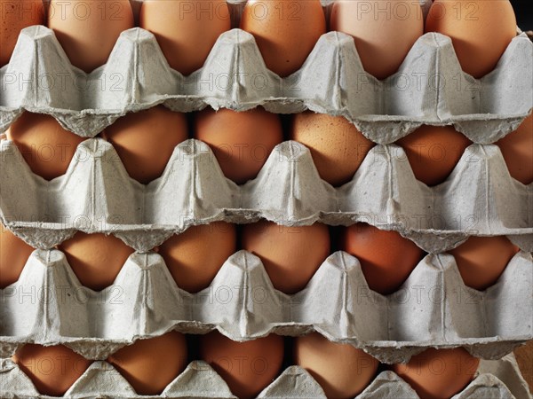 Palettes with fresh brown eggs from free-range