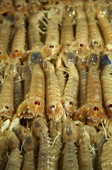 Fresh Connoce prawns