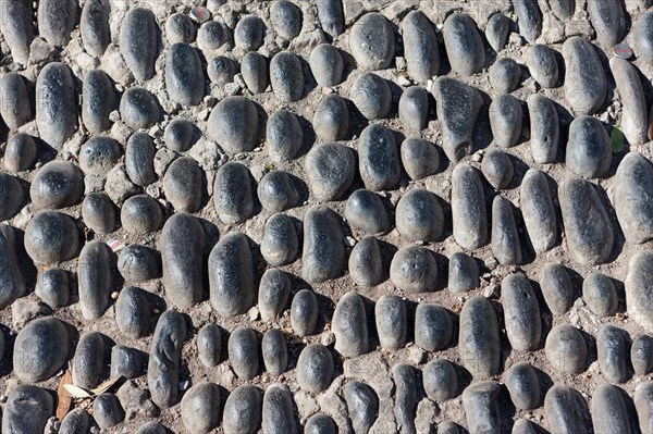 Old cobblestoned road in the historic town centre of Funchal