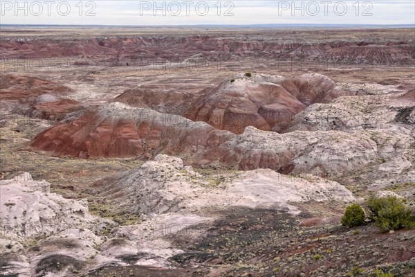 Painted Desert