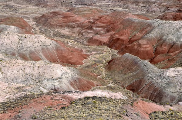 Painted Desert