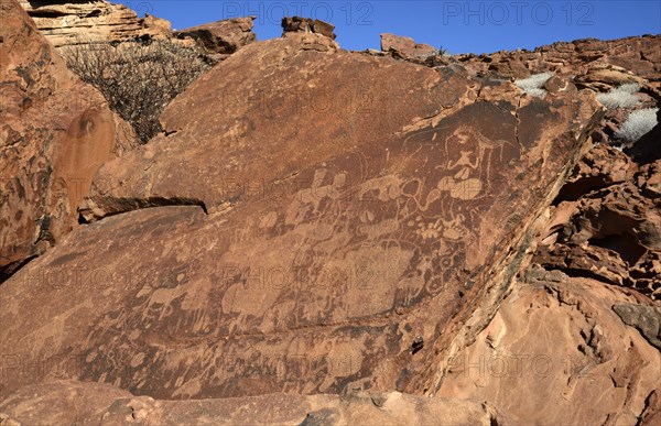 Rock carvings of the San people