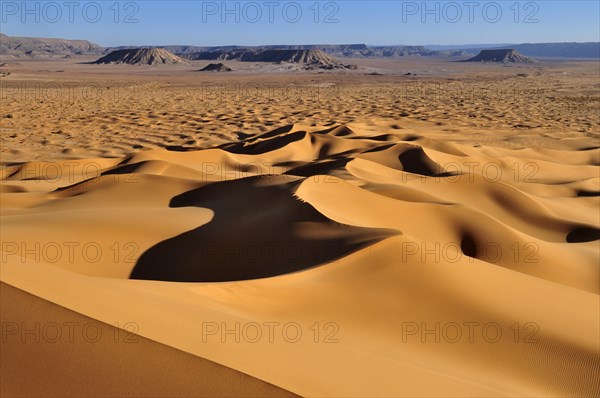 Morning light on sanddunes at Erg Tihoulahoun