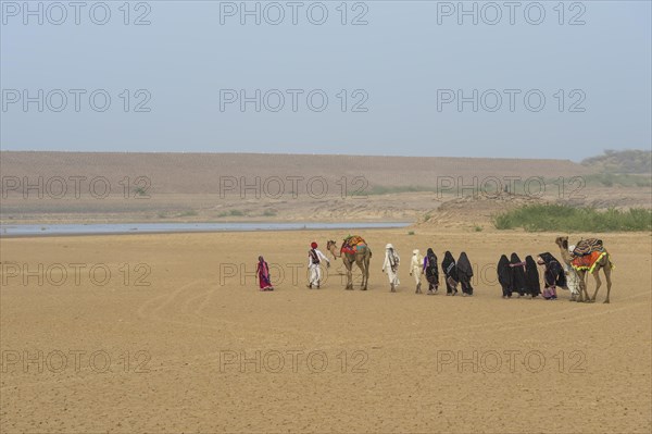 Rabari tribe people walking in the desert with a dromedary