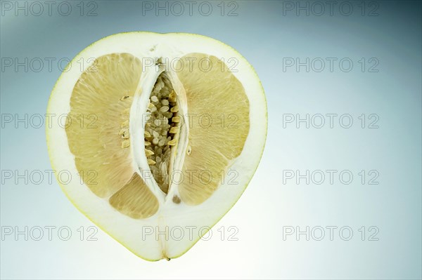 Honey Pomelo (Citrus maxima