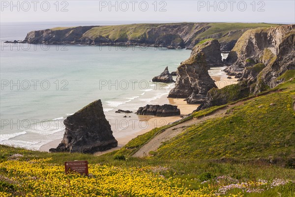 Rocky coast