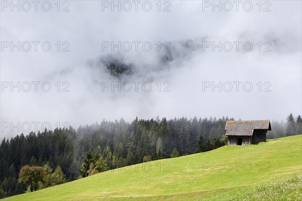 Mountain meadow with Hagneralm alpine hut