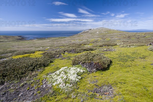 View of Westpoint Island