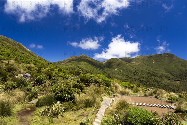 View from the Pouakai Hut of the summit of Mt Pouakai