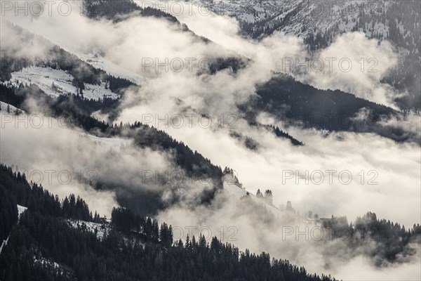 Clouds rising on a wooded mountain slope