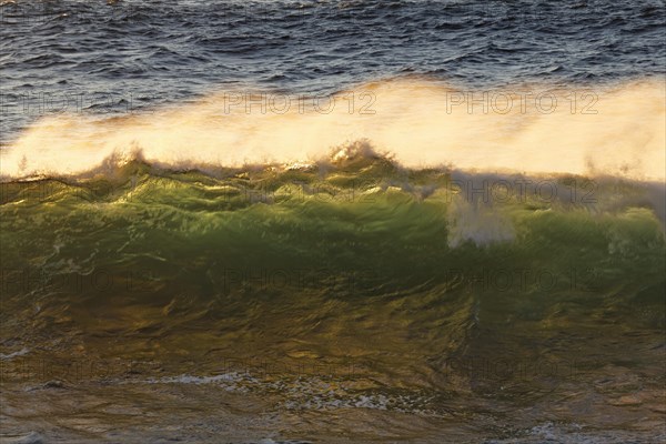 Ocean waves in the evening light