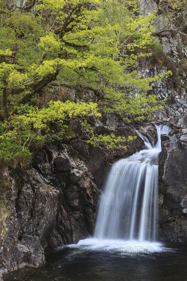 Waterfall in a forest