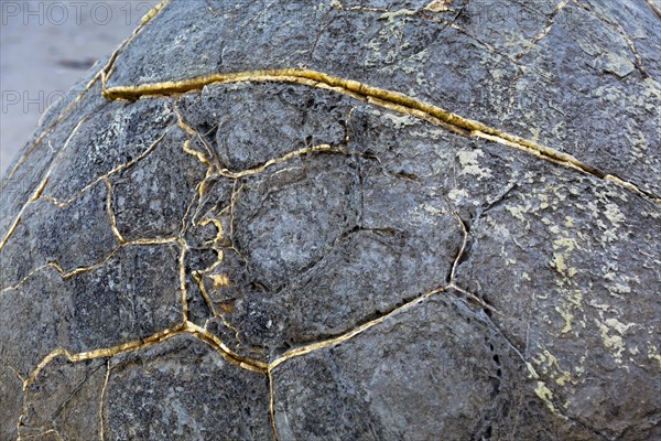 Moeraki Boulder