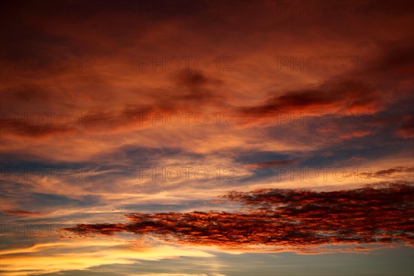 Evening sky