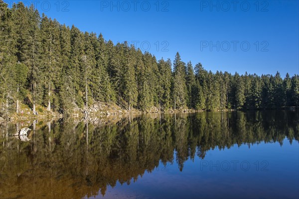 Reflection of the forest in Mummelsee Lake