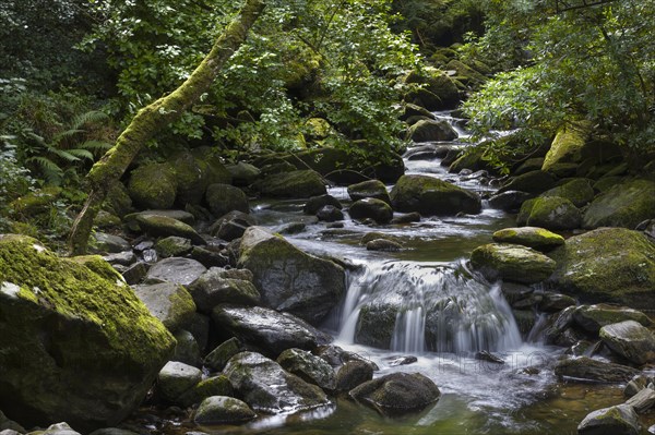 Torc Waterfall