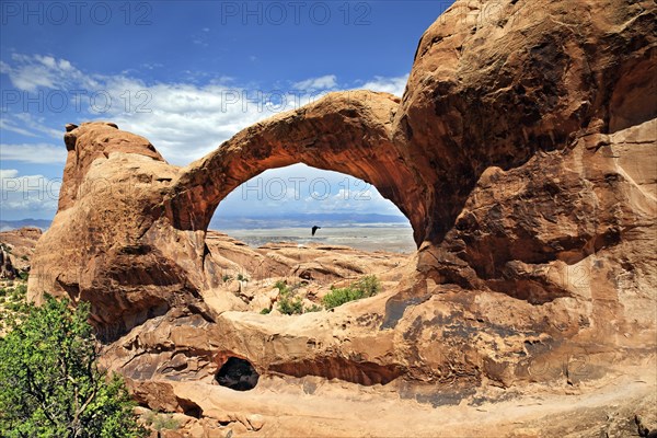 Double O Arch with a raven flying in the middle of the arc