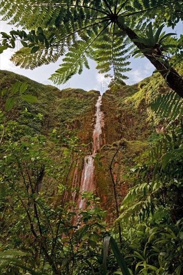 Chutes du Carbet