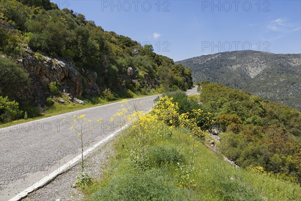 Road to Termessos