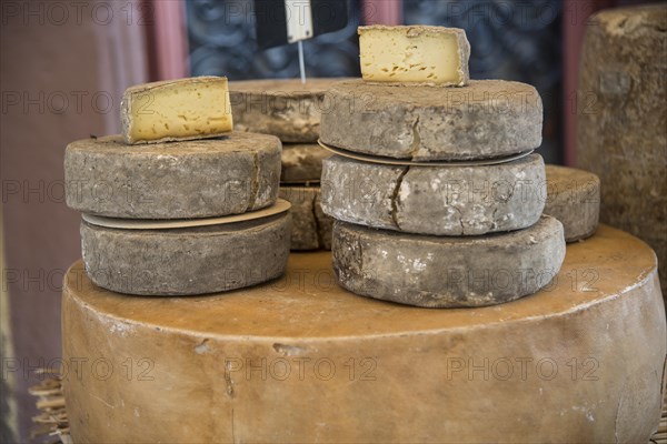 Cheeses for sale on a market