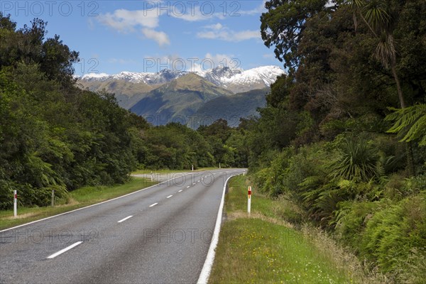 Haast Highway with views of the Southern Alps and Mount Macfarlane