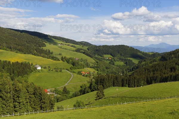 Cultivated landscape