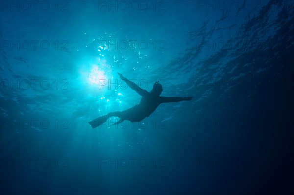 Freediver