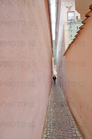 The narrowest lane in town