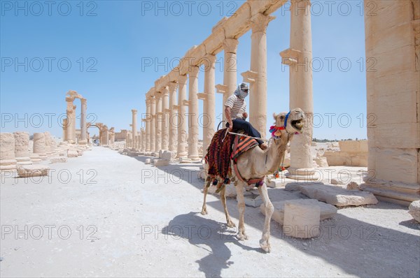 The ruins of the ancient city of Palmyra