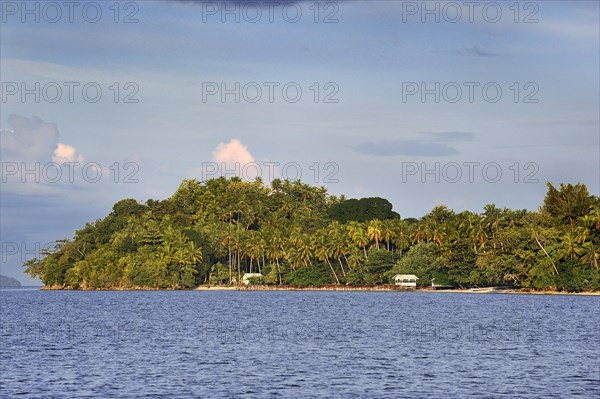 Kri island with palm trees in the Dampier Strait