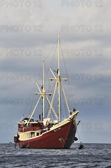 Divers ship 'Seven Seas Liveaboard'