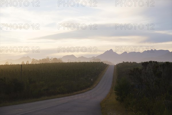 Country road at dusk