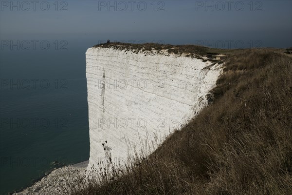 Seven Sisters chalk cliffs