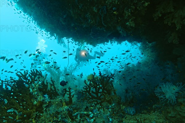 Scuba diver behind a cave