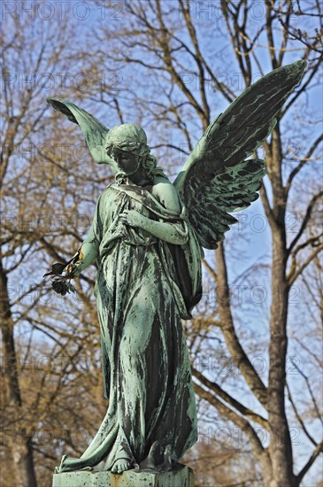 Angel statue with rose