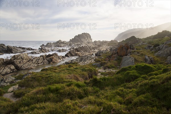 Rocky coast