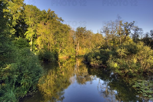 Wuerm river in autumn