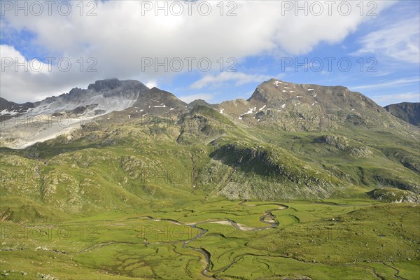 Meander of Timmelsbach stream