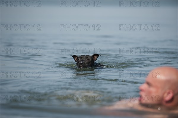 A man and a dog swimming in a lake