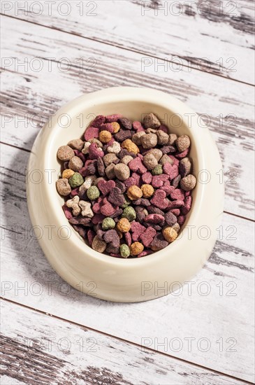 Dry dog food in a bowl