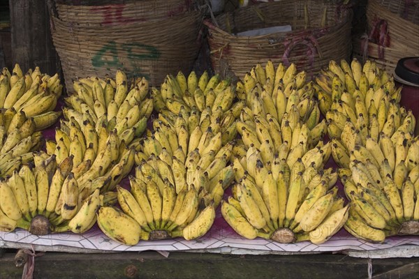 Bananas on sale at a market stall