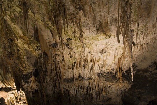 Cave of Postojna