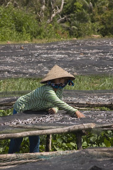 Vietnamese woman sorting freshly caught fish