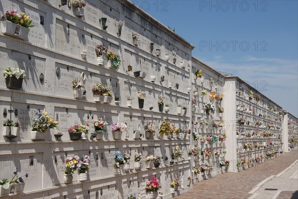 Urns on the wall of a cemetery