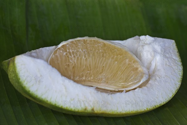 Segment of a pomelo fruit