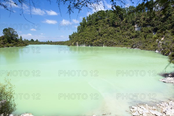 Lake Ngakoro