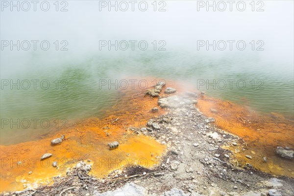 Champagne Pool