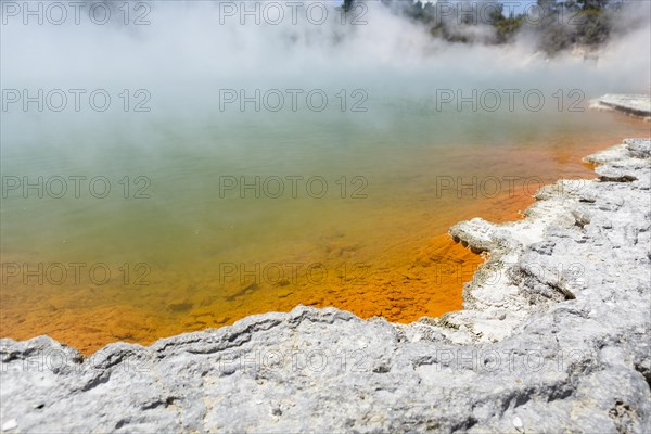 Champagne Pool