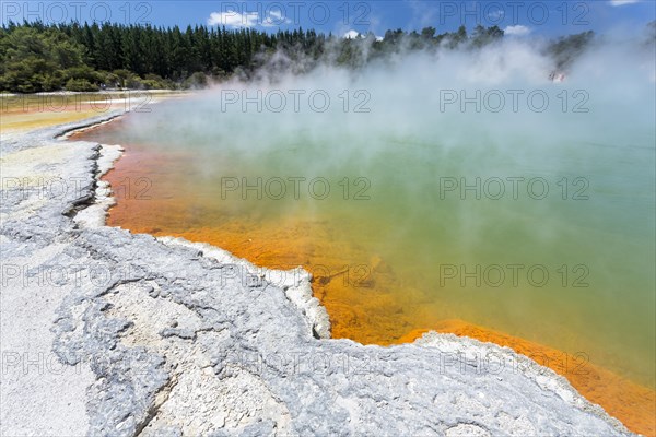 Champagne Pool