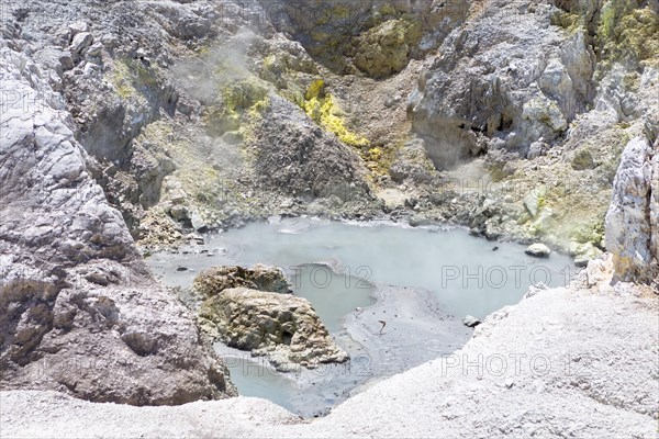 Bird's Nest Crater